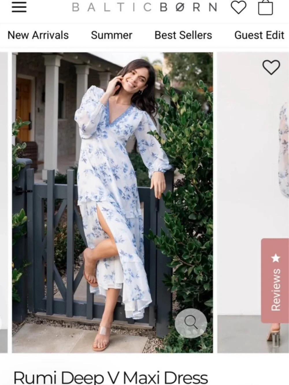 Baltic Born Rumi - Picture 2 of 2